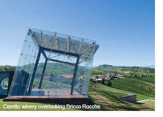 Bricco Rocche winery