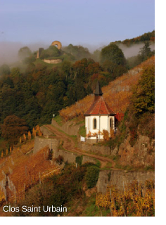 Clos Saint Urbain