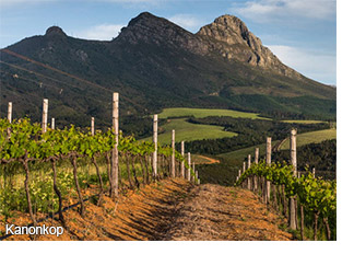The view from the vineyards at Kanonkop
