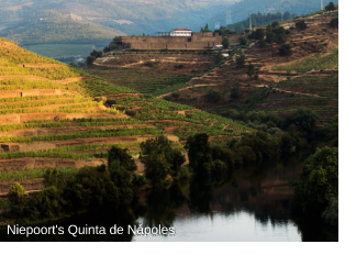 Niepoort Quinta de Napoles (Douro)