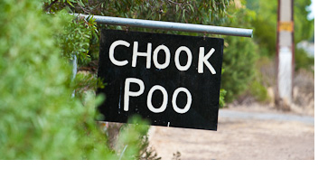 Organic agriculture starts with...