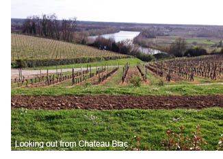 Looking out from Chateau Biac