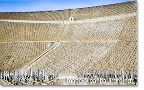 2011 Droin Chablis en primeur