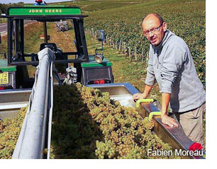 Fabien Moreau - 2013 Chablis en primeur