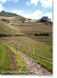 Quinta do Noval