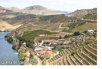 Quinta de Vargellas