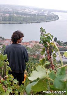 Yves Gangloff of Condrieu