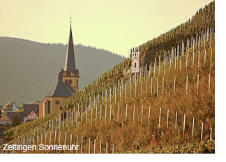 Zeltingen from the Sonnenuhr vineyard