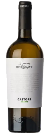 2024 Cincinnato Bellone Castore (Lazio)