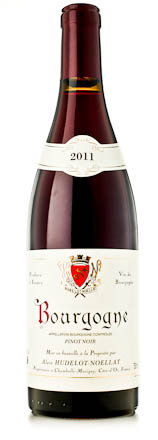 2011 Hudelot-Noellat Bourgogne Pinot Noir