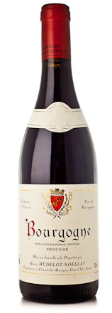 2023 Hudelot-Noellat Bourgogne Pinot Noir