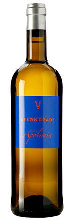 2023 Belondrade Quinta Apolonia