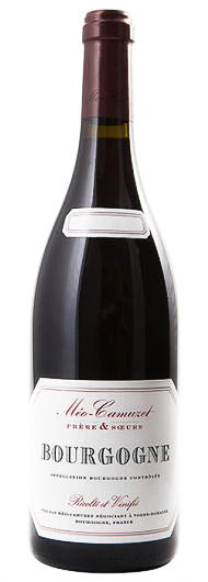 2020 Meo-Camuzet Bourgogne Rg Hemisphere Nord