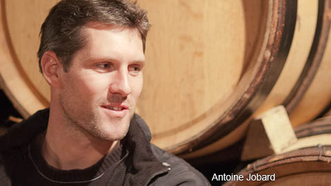 Antoine (formerly Francois) Jobard