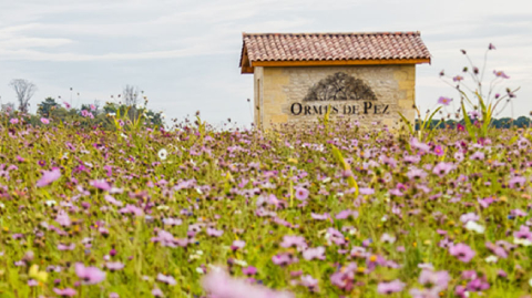 Chateau les Ormes de Pez