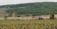 2023 Burgundy en primeur