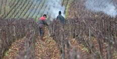 2018 Burgundy en primeur introduction