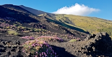 Mount Etna